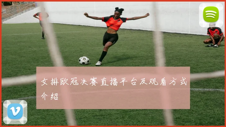 女排欧冠决赛直播平台及观看方式介绍