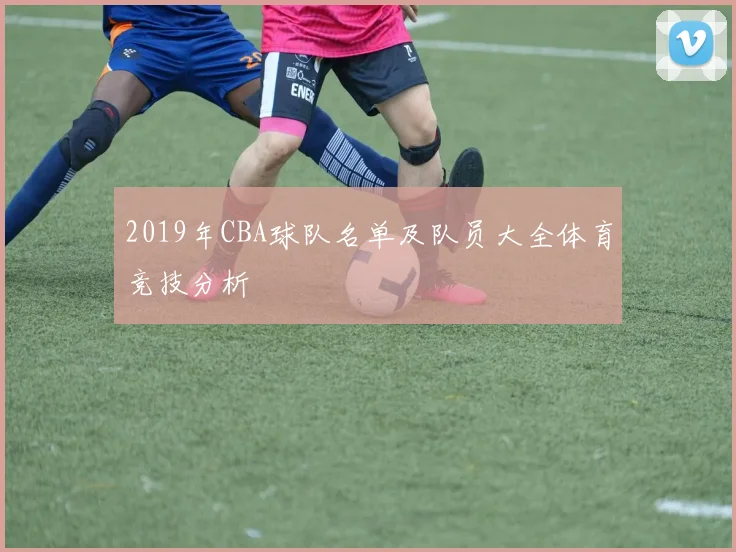 2019年CBA球队名单及队员大全体育竞技分析