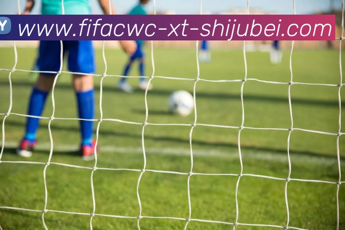 世界杯直播平台生态图