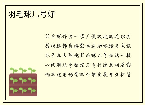 羽毛球几号好