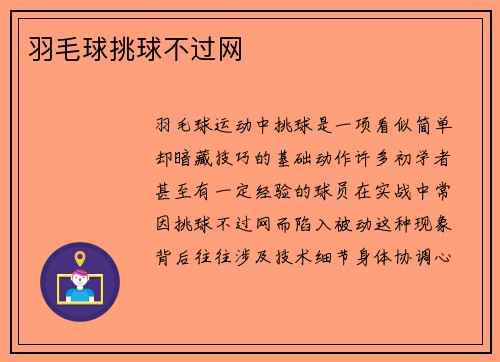羽毛球挑球不过网